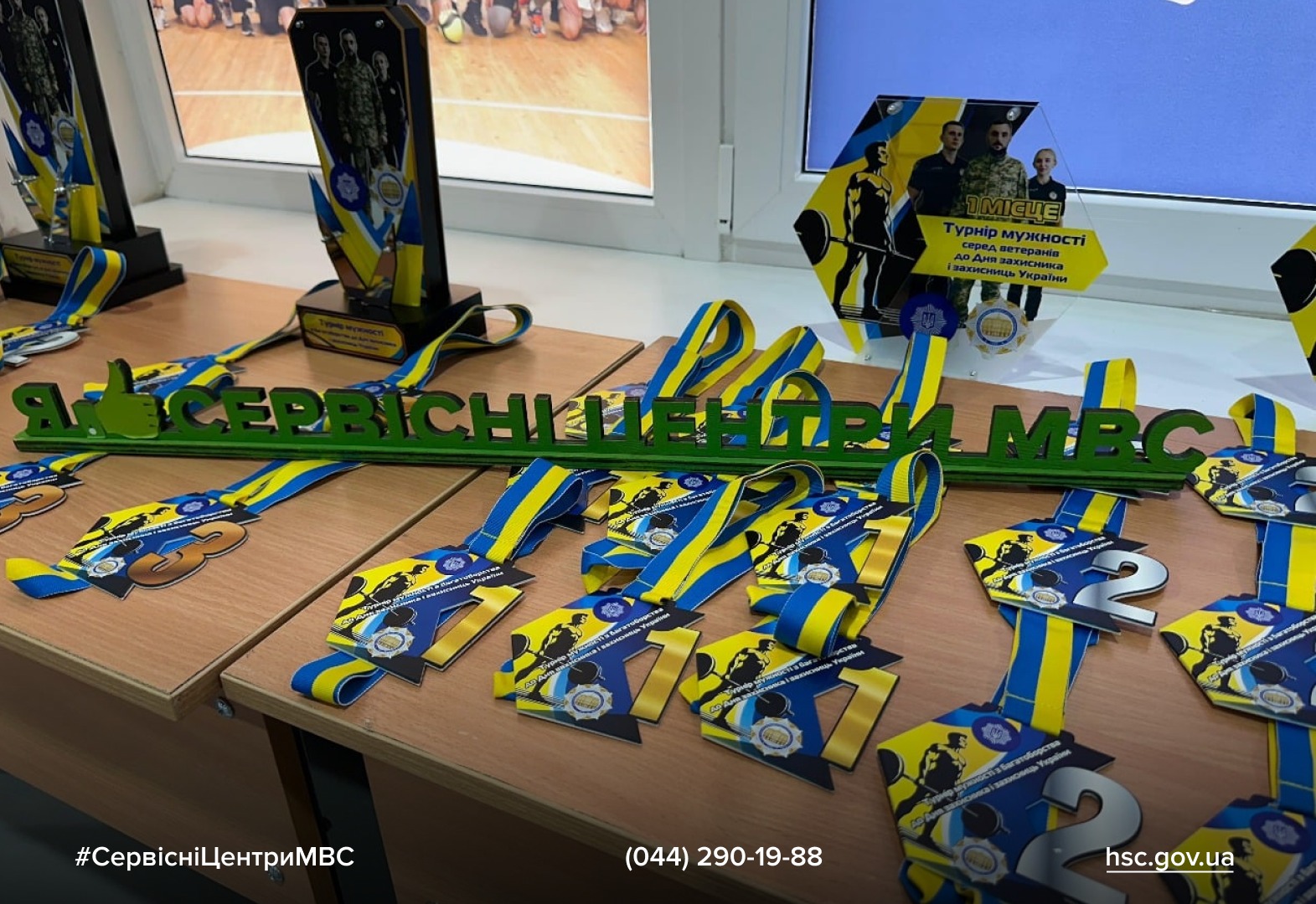 0fee5736-5b39-4d50-af12-bbb1172b00f6