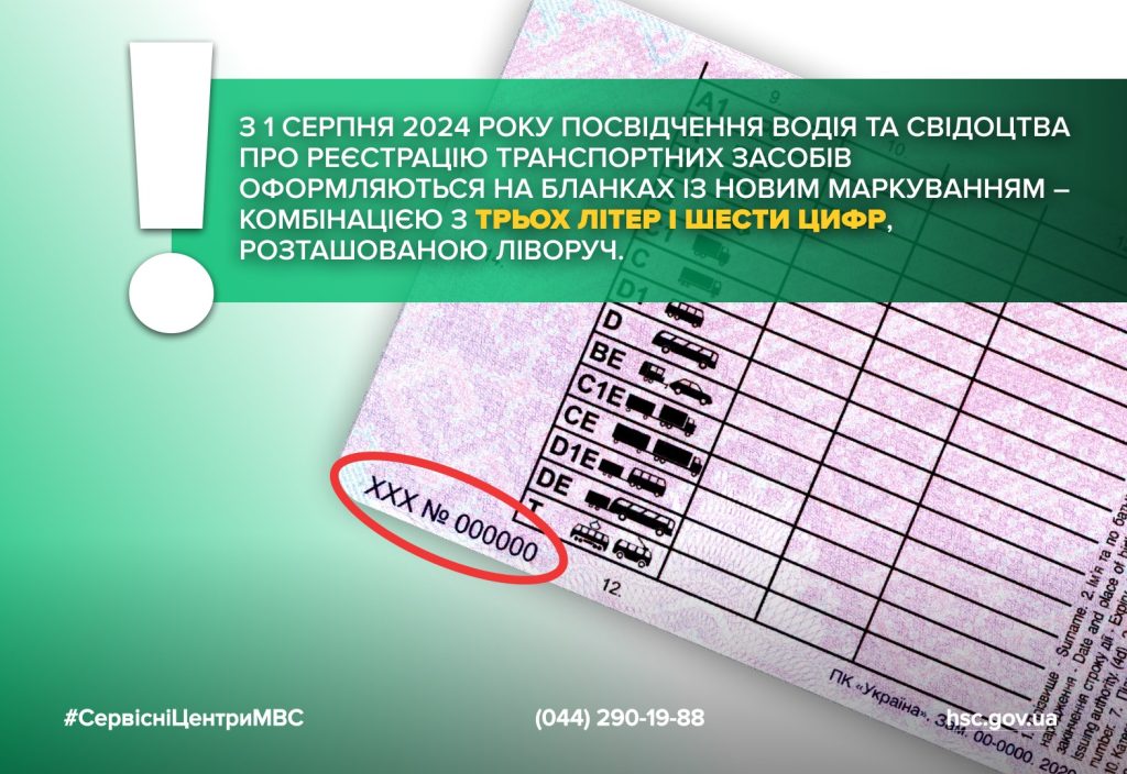 b1f2a4ab-d7b9-4109-b4b3-5394dfd5af62-1024x704